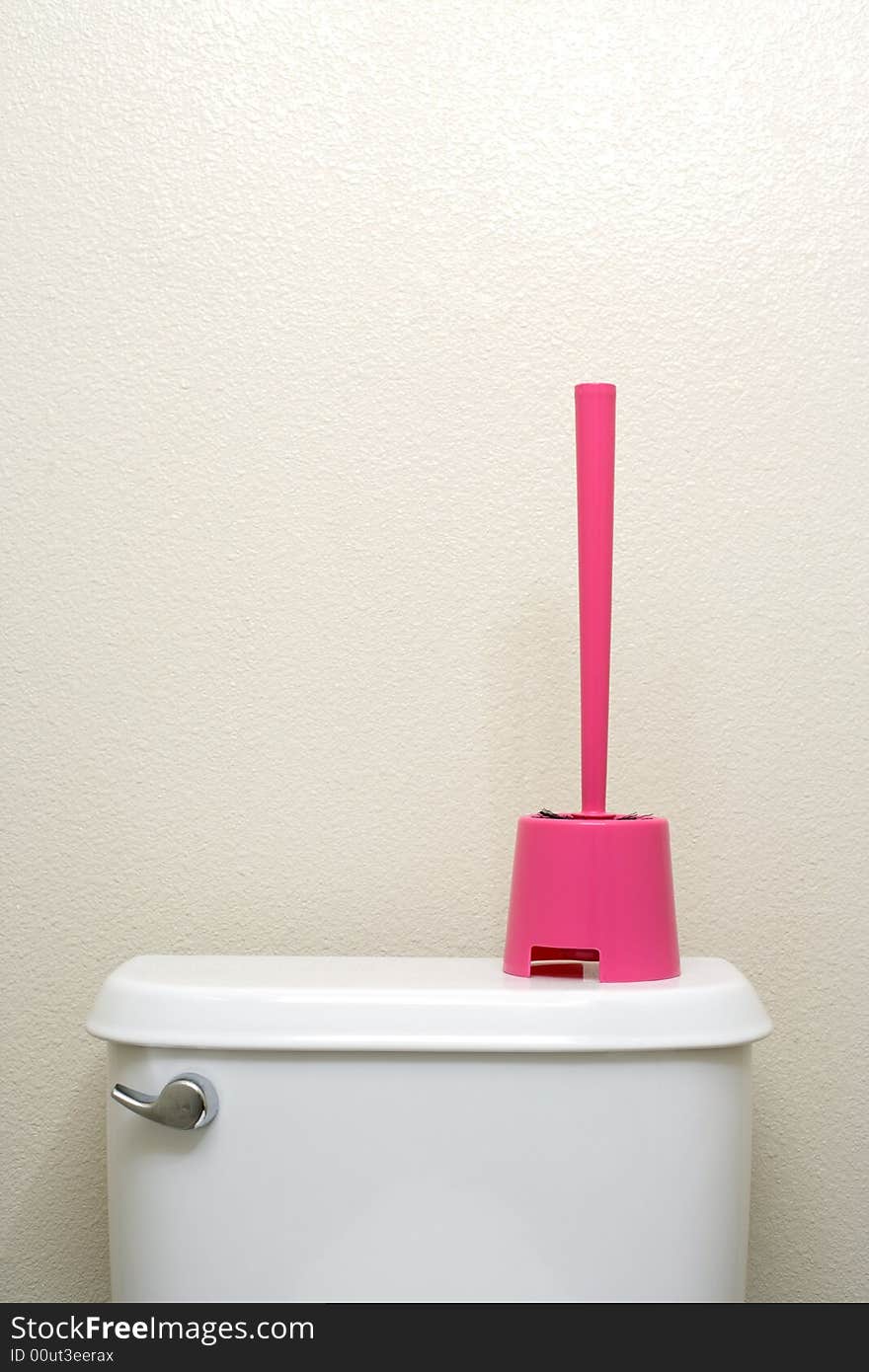 A toilet brush sitting on the back of a toilet