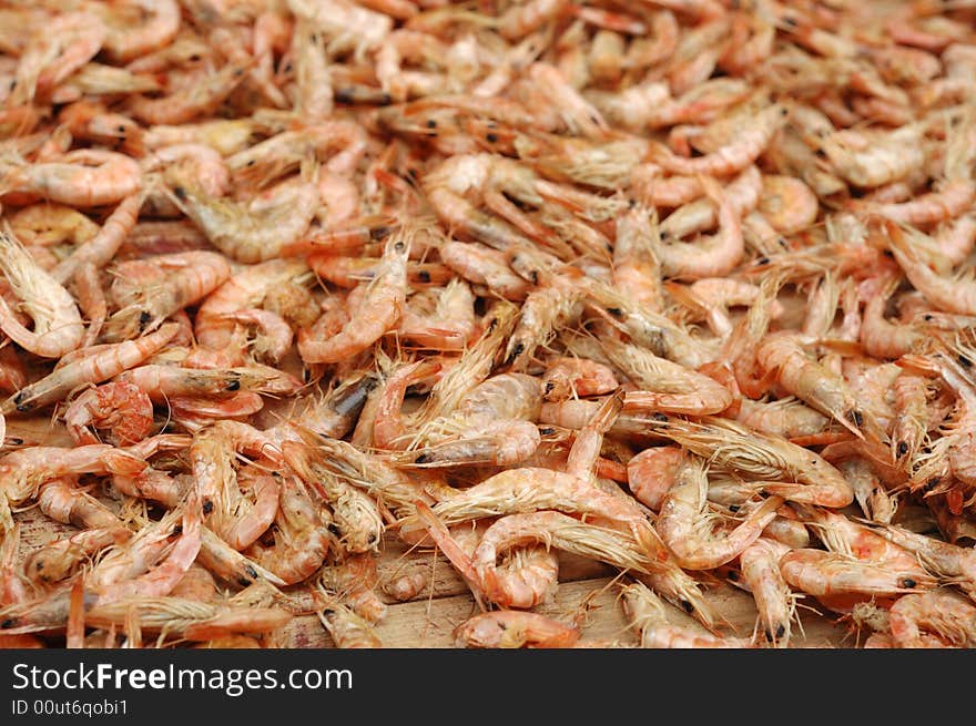 Shrimp