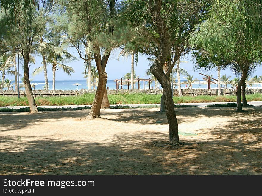 Tree park with beautiful view to a blue sea. Tree park with beautiful view to a blue sea