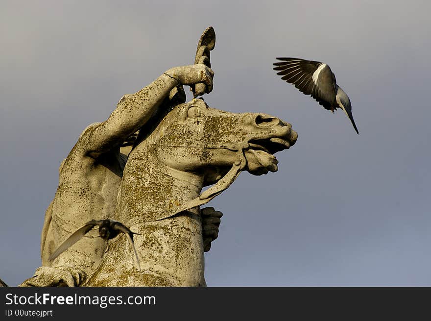 Horse statue, pigeons flying