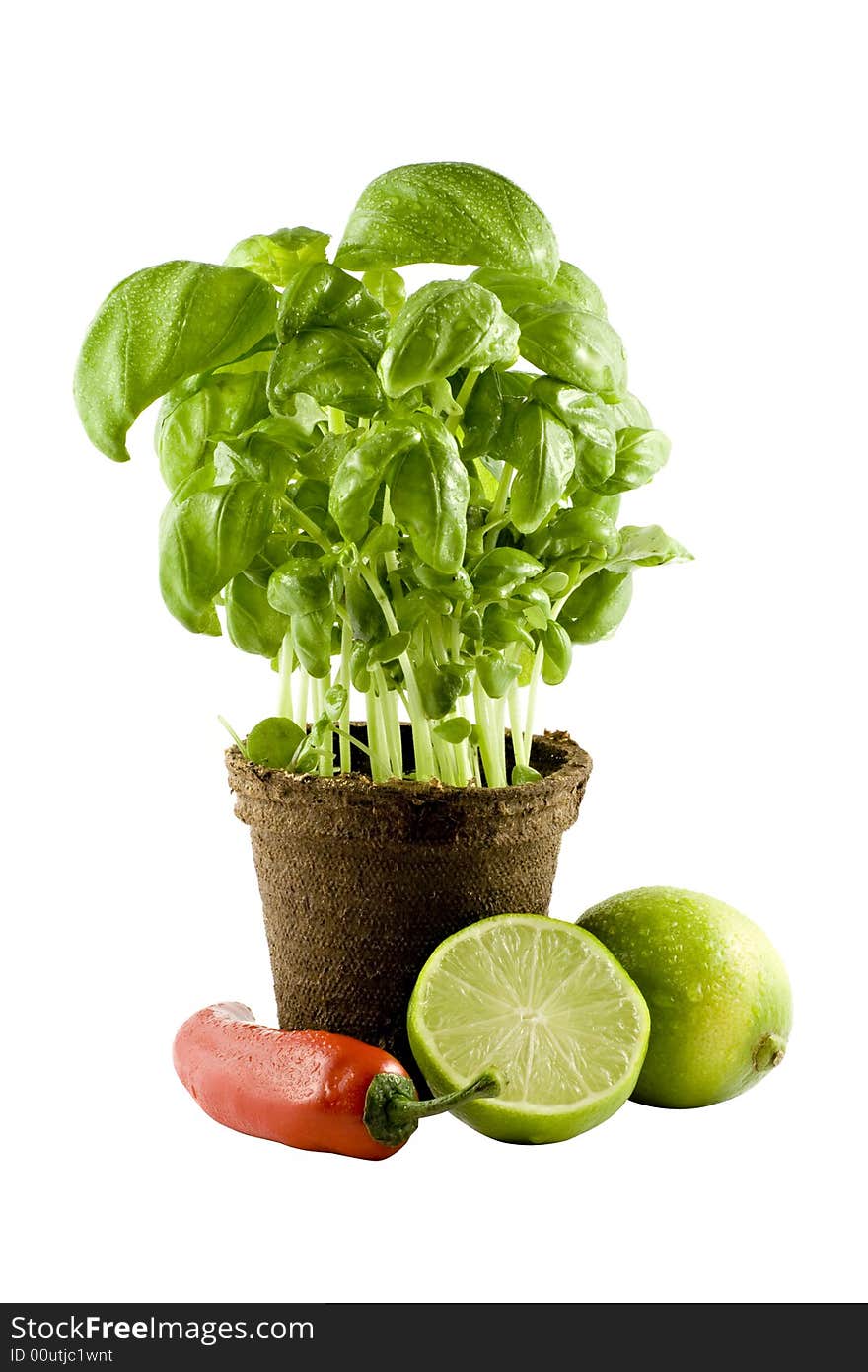 Basil, Lime & Chili Isolated On White