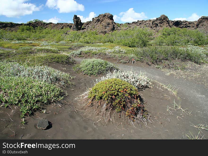 Iceland landscape