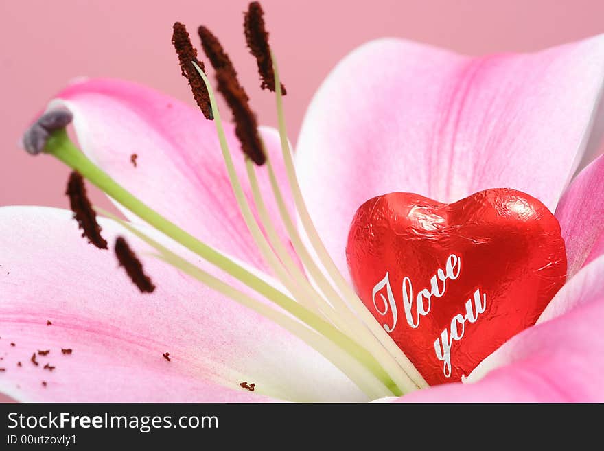 Red heart and lily on pink background. Red heart and lily on pink background.