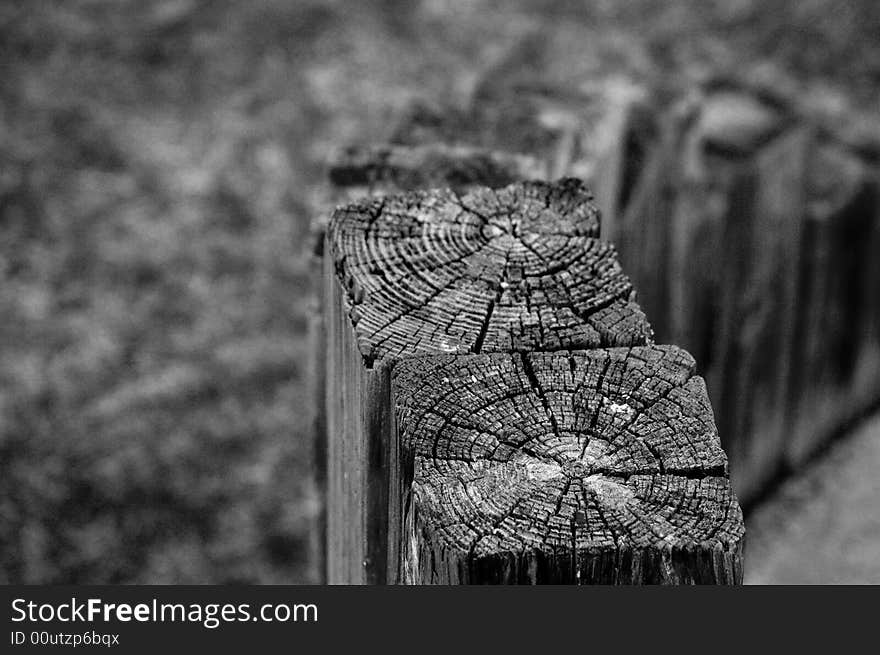 Black and white view of broken wooden posts on neglected playground.