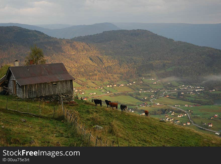 This is the field landscape in Norway. This is the field landscape in Norway