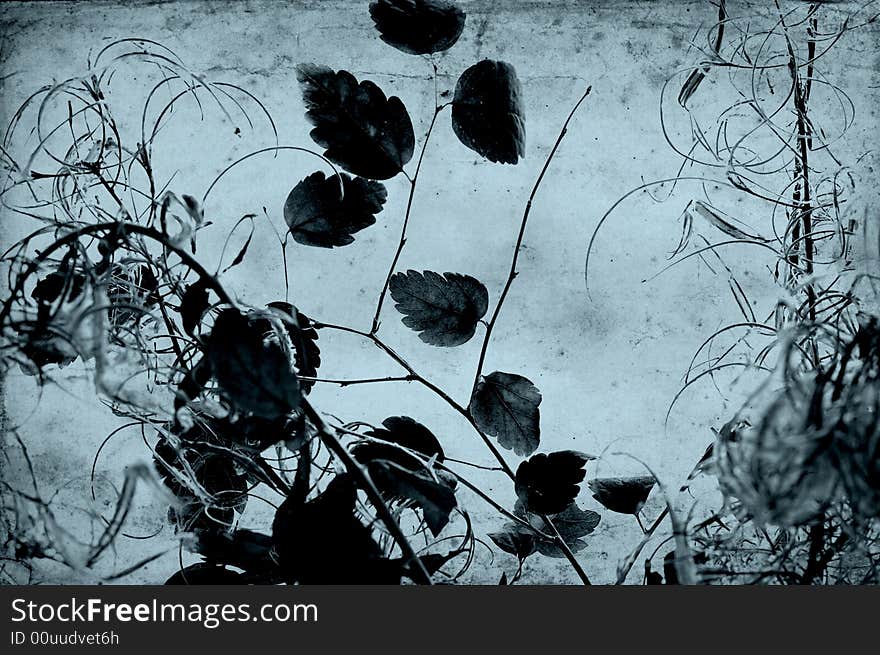 Dark old paper with floral pattern. Dark old paper with floral pattern