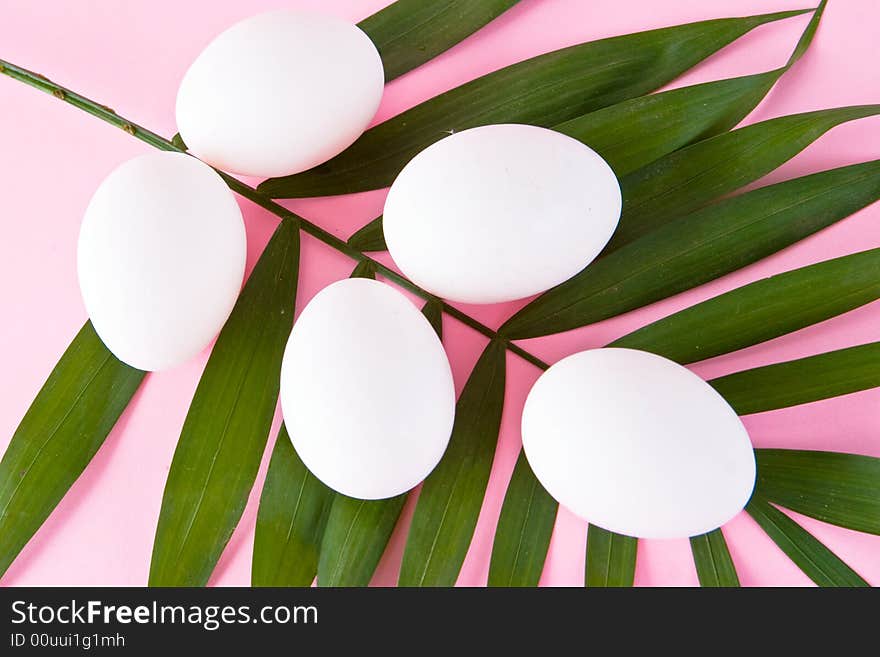 White eggs on a green leaf with a pink background. White eggs on a green leaf with a pink background