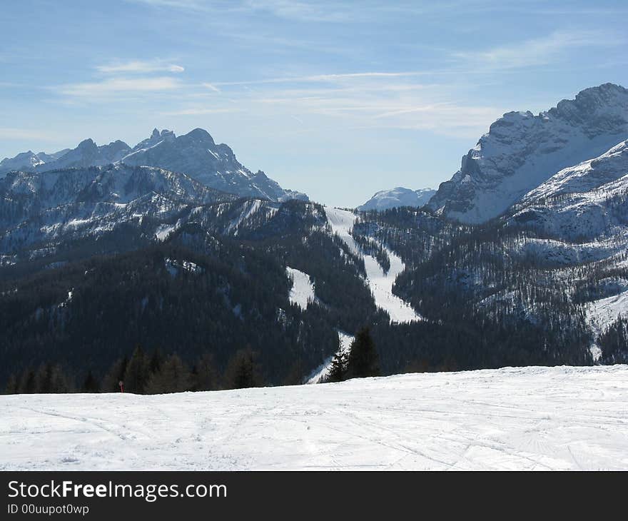 Ski slopes in the forest