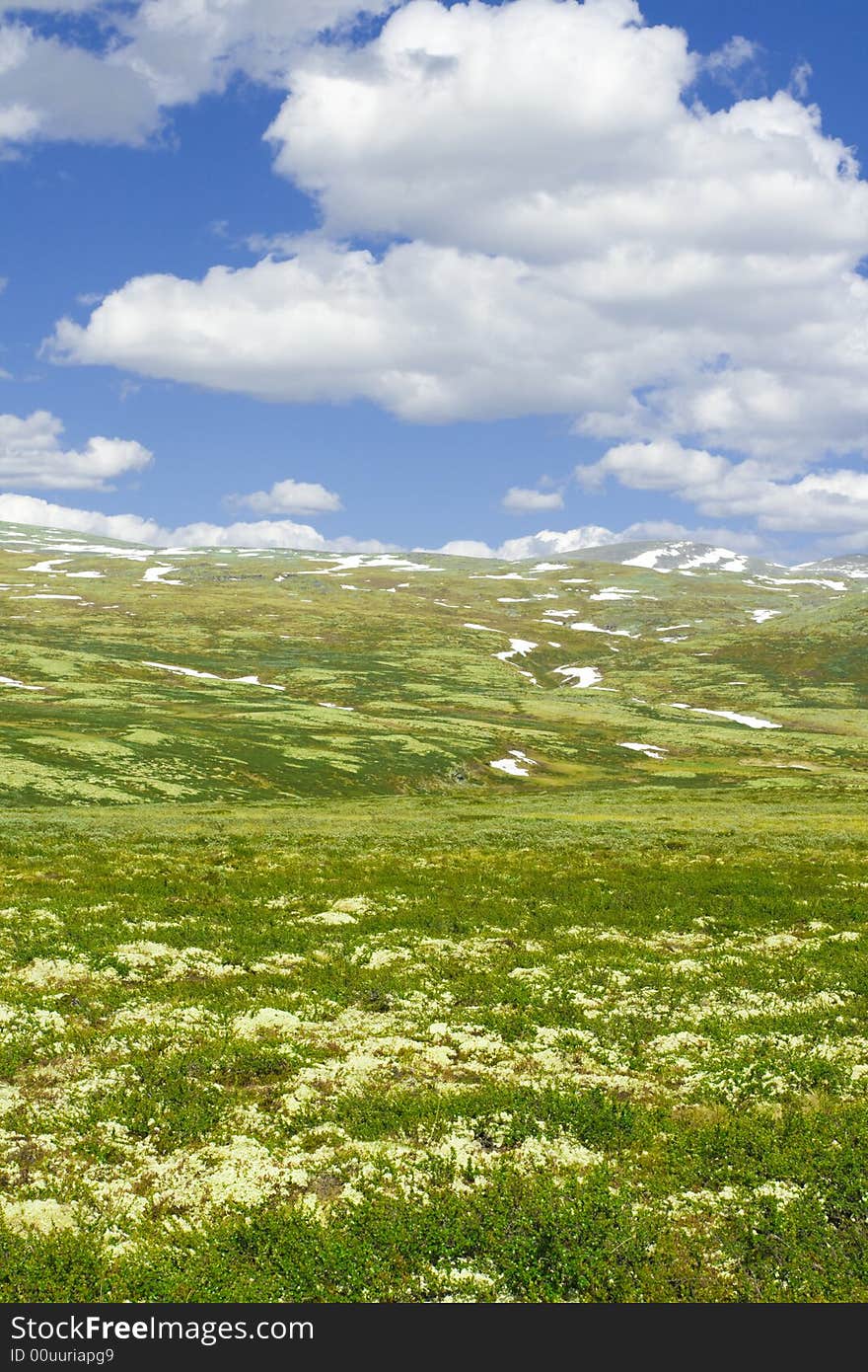 Yellow glade with the snow on the hall and white  flying clouds. Yellow glade with the snow on the hall and white  flying clouds