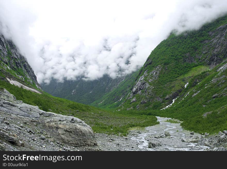 Dense lowering fog in the mountains, rock place with plants.