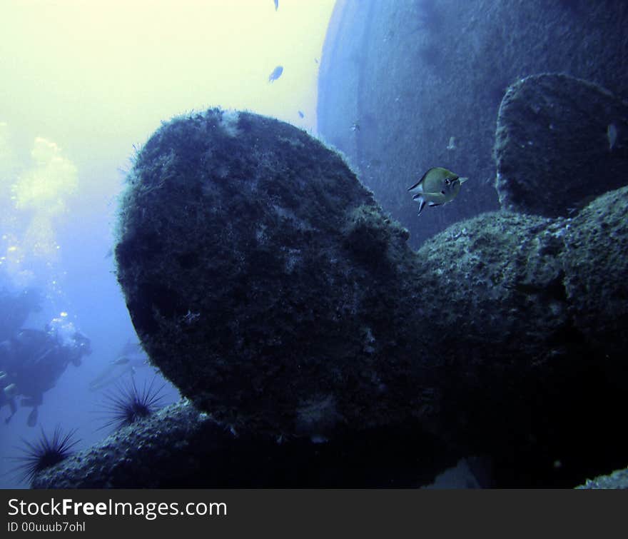 Ship Wreck S Propeller