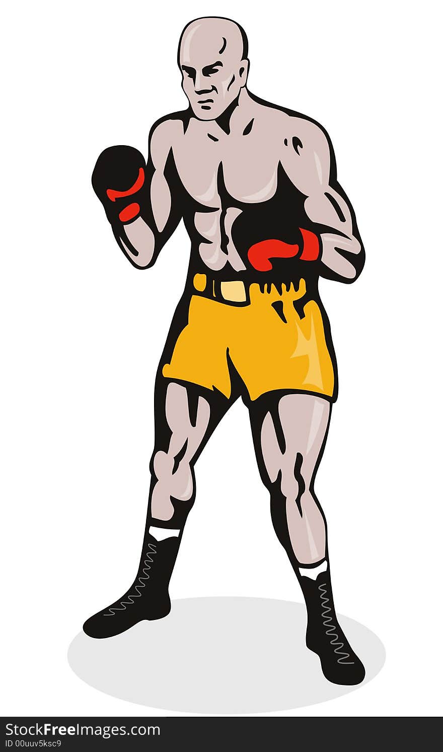 Boxer in fighting stance