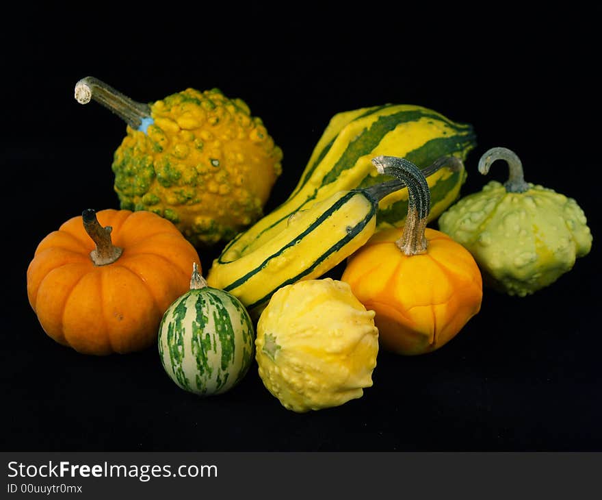 Assorted Gourds against a black background. Assorted Gourds against a black background