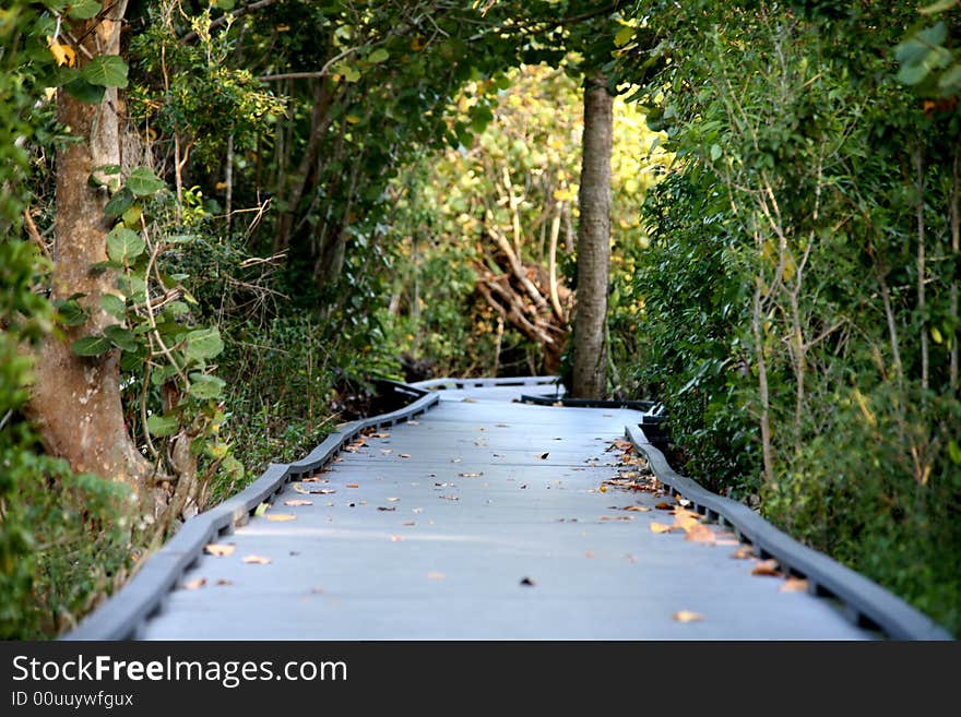 A pathway in a park made out of recycled plastics. A pathway in a park made out of recycled plastics.