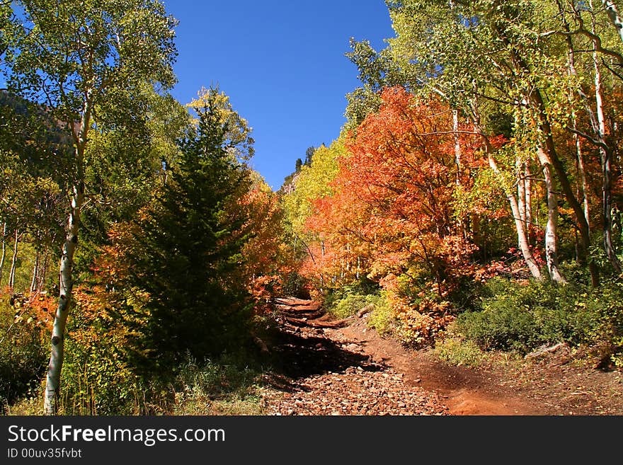 High mountain road in the fall showing all the fall colors. High mountain road in the fall showing all the fall colors