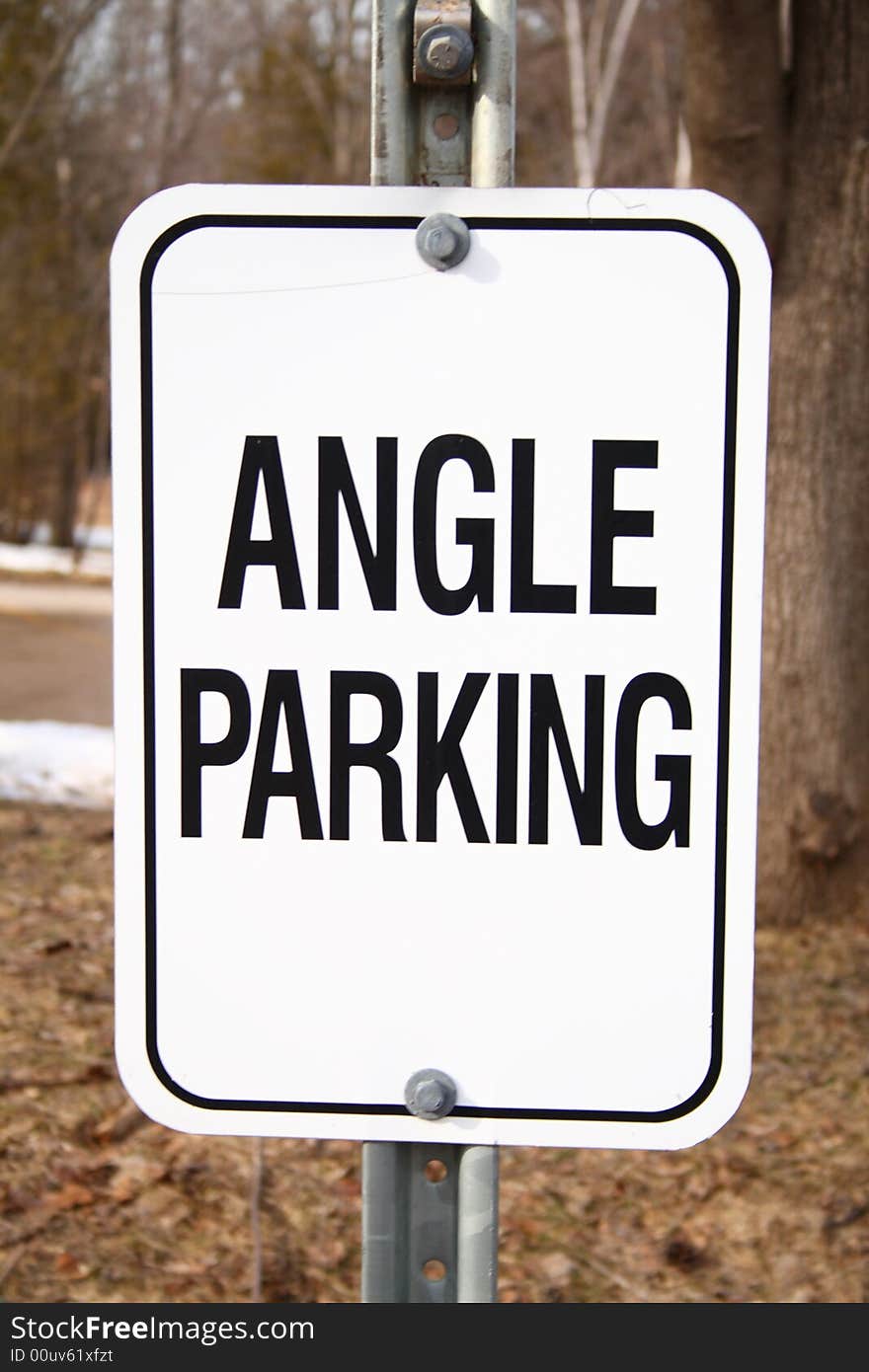 White angle parking traffic sign on a park