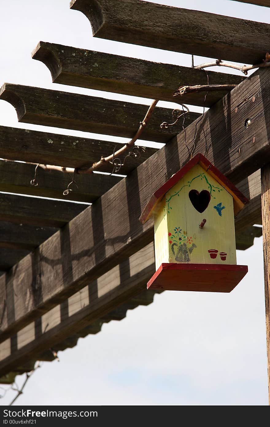 Colorful little bird house hanging in yard