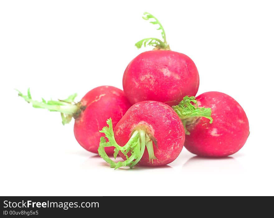 Garden radish