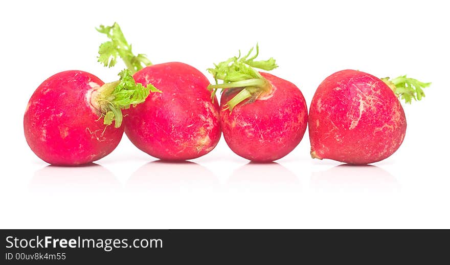 Garden Radish