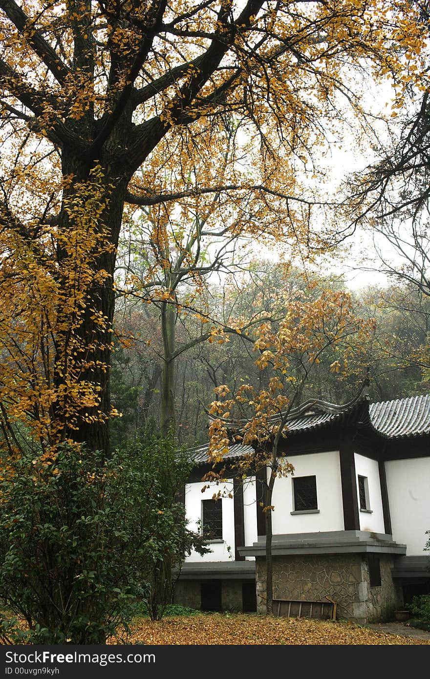 A view of a park ,Nanjing ,China. A view of a park ,Nanjing ,China