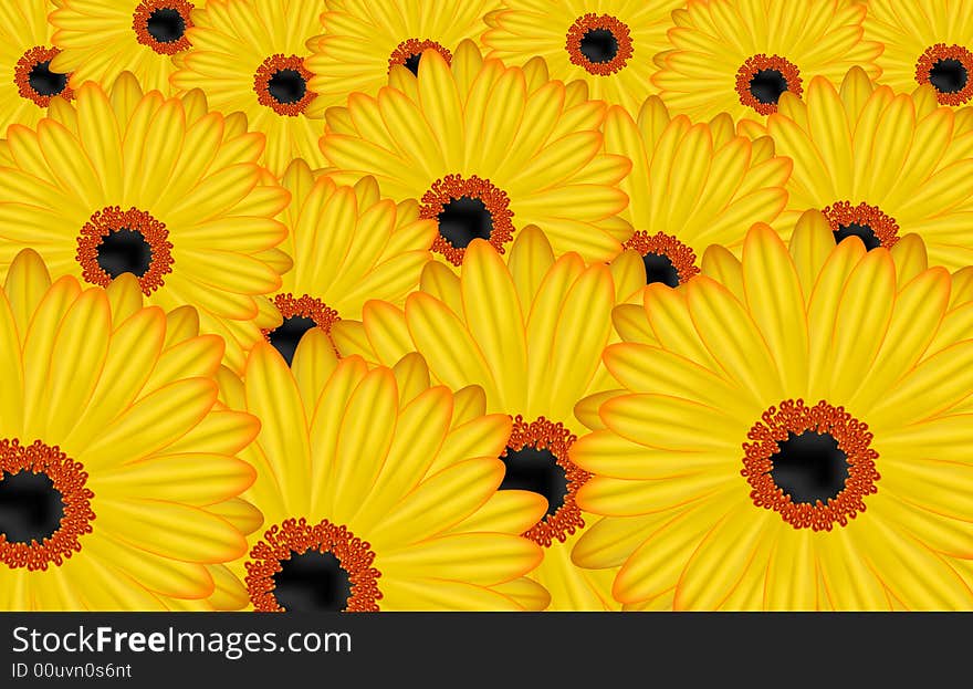 Background from many yellow flowers