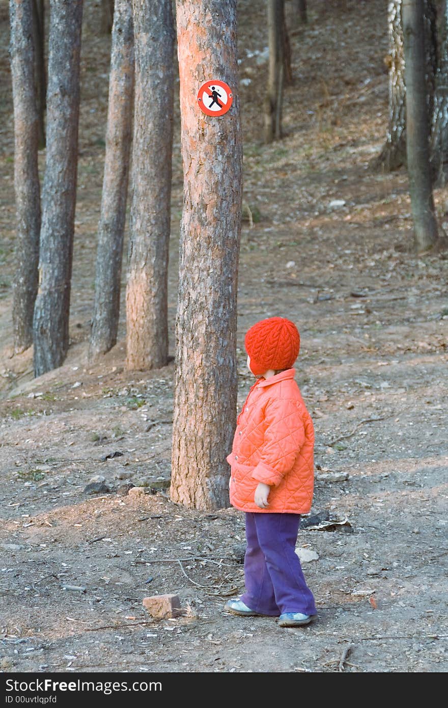 A little girl in a red cap goes for a walk on a pine-wood  under a sign Passage-way is forbidden