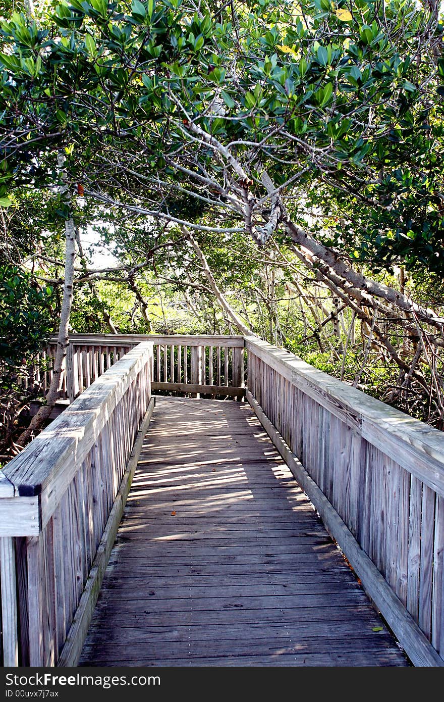 A boardwalk in Ding Darling State Park on Sanibel Island, Florida going out to the Bay. A boardwalk in Ding Darling State Park on Sanibel Island, Florida going out to the Bay.