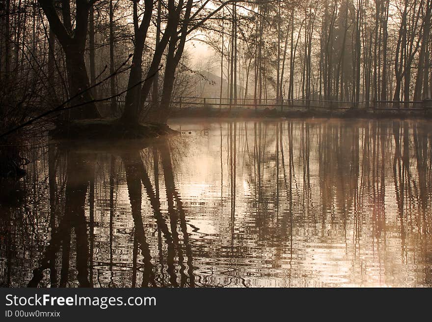 Morning lake