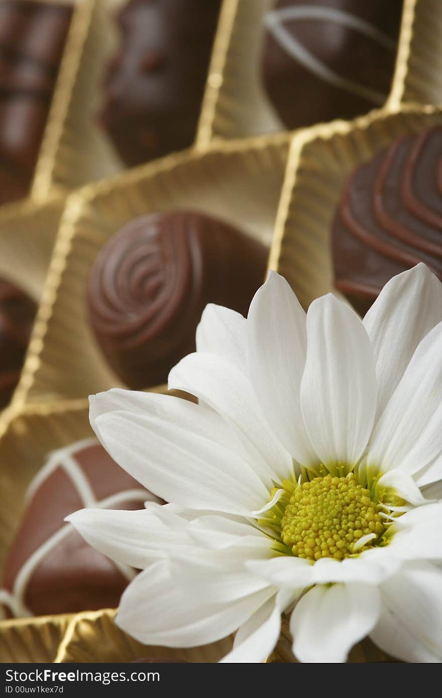 White flower on chocolate candies. White flower on chocolate candies.