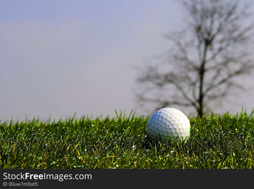 Golfball on gras with blue background. Golfball on gras with blue background