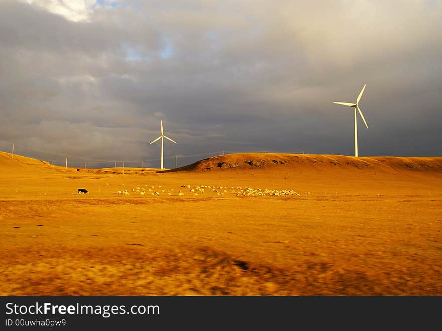 The project, scheduled to supply power to the city by the end of this year, comprises a 14,000 kilowatts wind power plant in Neimenggu District and a 6,000 kilowatts one in Chongming County, according to officials with the Beijing Energy Conservation Supervision Center. Upon completion, probably by 2007, the province's first wind power plant is expected to be the biggest of its kind in Asia. The project, scheduled to supply power to the city by the end of this year, comprises a 14,000 kilowatts wind power plant in Neimenggu District and a 6,000 kilowatts one in Chongming County, according to officials with the Beijing Energy Conservation Supervision Center. Upon completion, probably by 2007, the province's first wind power plant is expected to be the biggest of its kind in Asia.