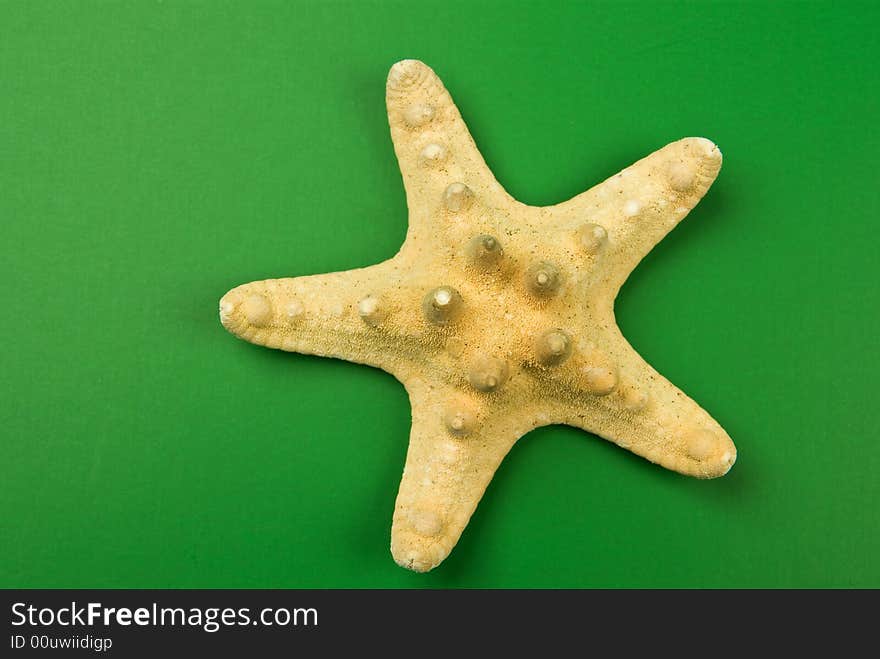 Star fish