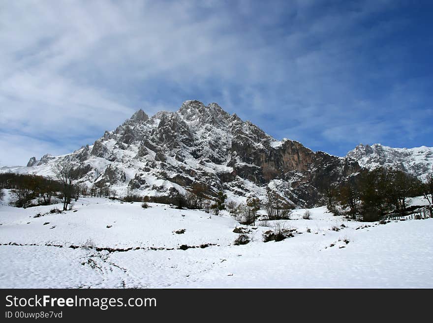 Winter landscape