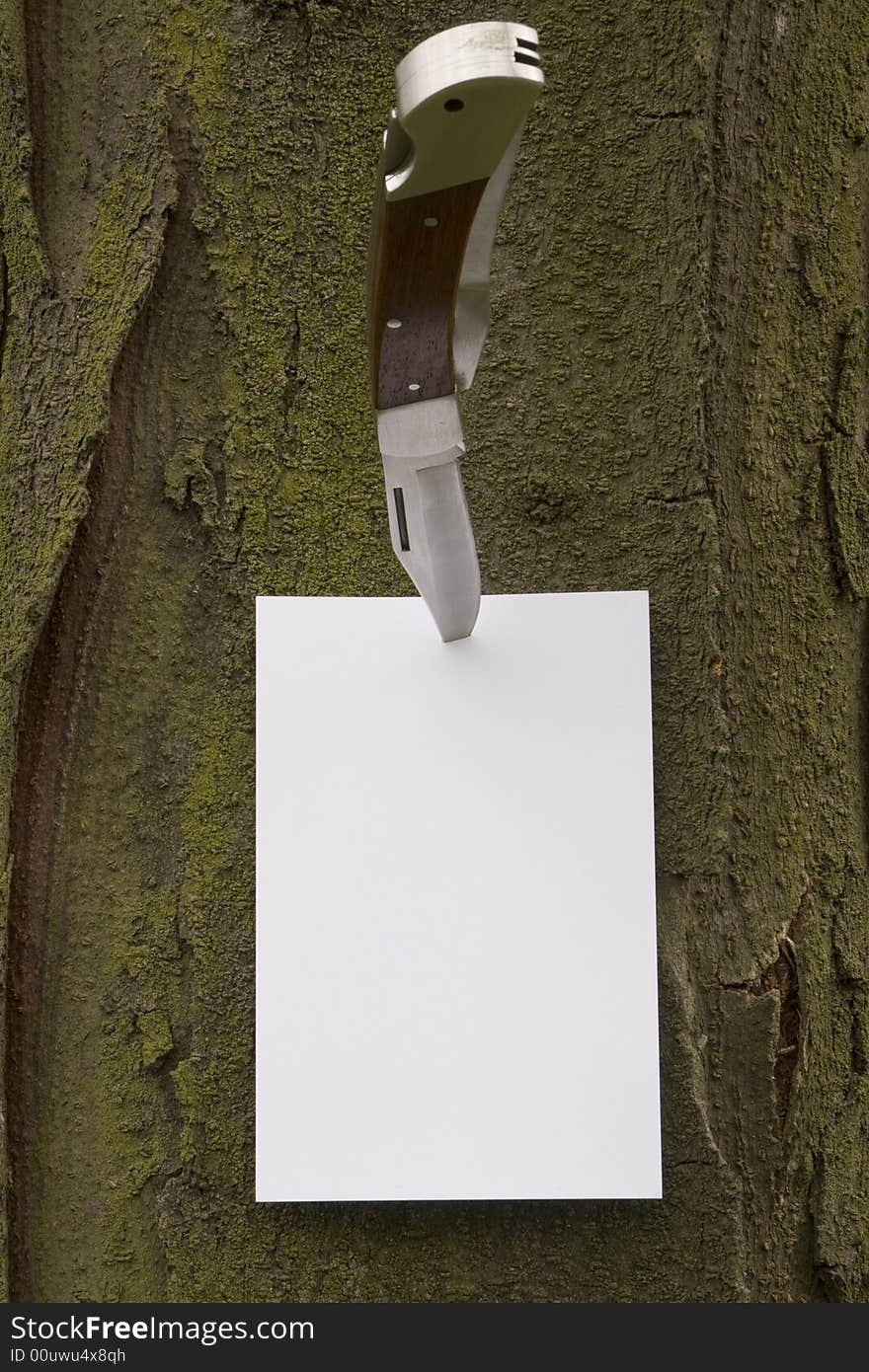 Paper Tacked Up With Knife