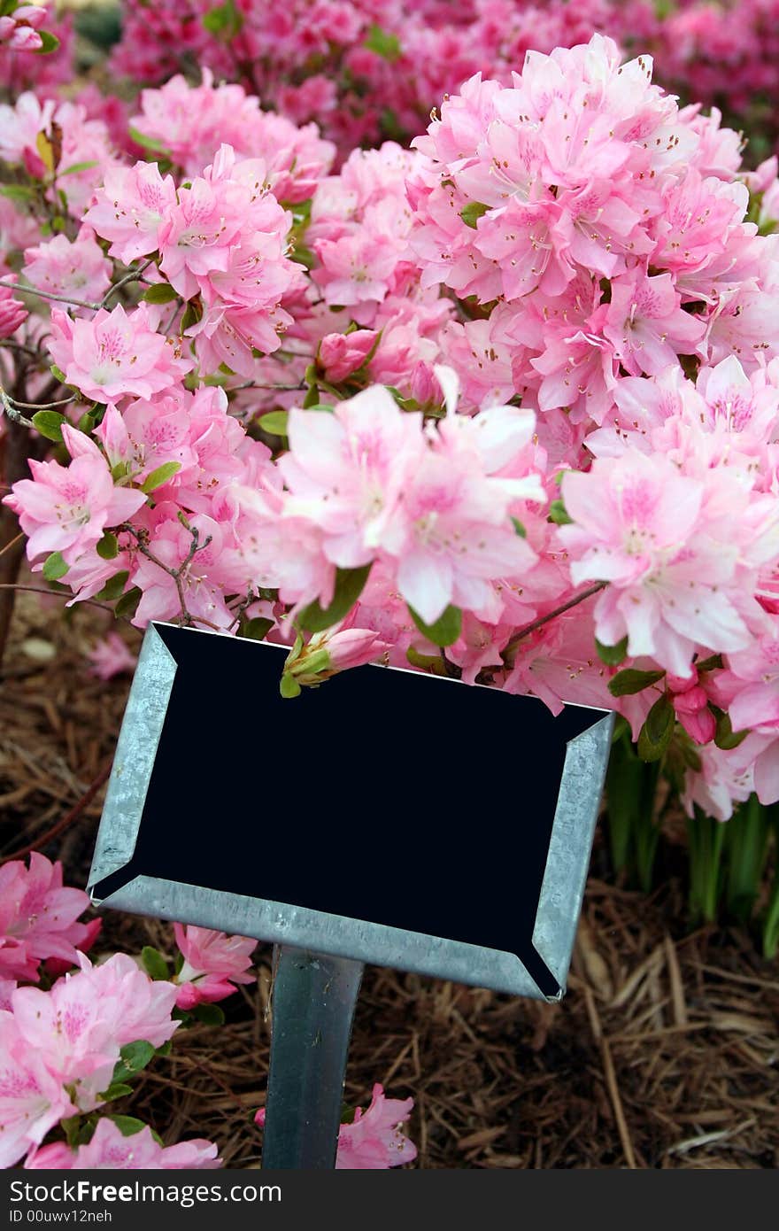 Sign in Azalea Bed