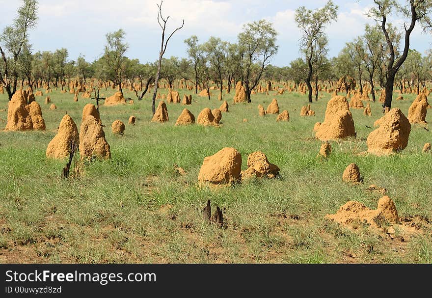 Feature Heaps Of Dirt.