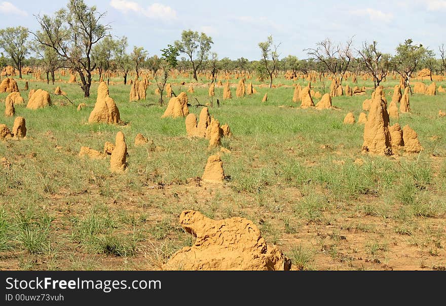 Feature Heaps Of Dirt