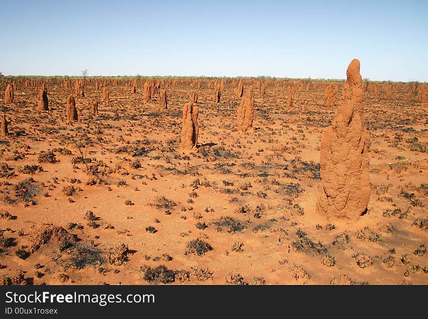 Feature land full of natural statues and texture of parched soil.Termitesil nests on Tanami road. Australia.