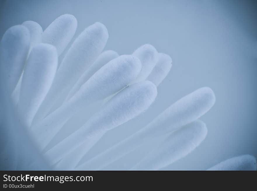 Cotton Buds in bathroom environment