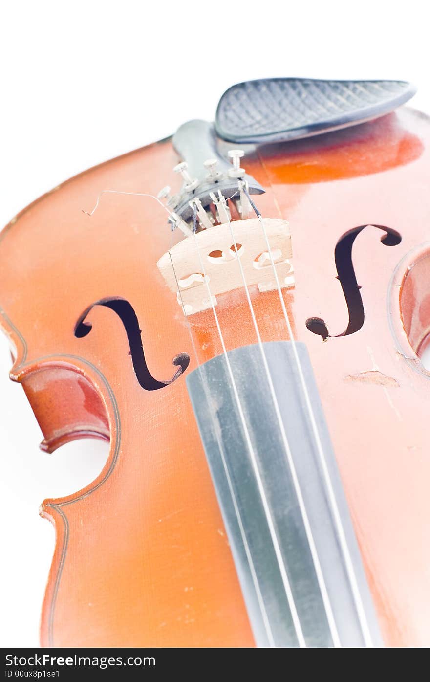 Violin details with leafs background