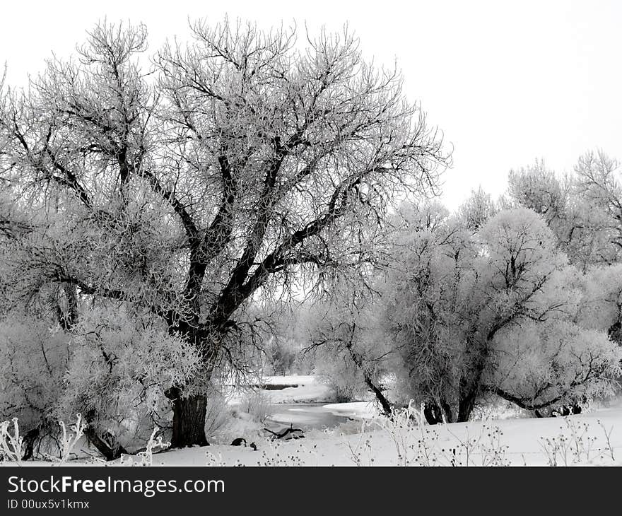 Big Thompson River on a foggy and frosty morning. Big Thompson River on a foggy and frosty morning.