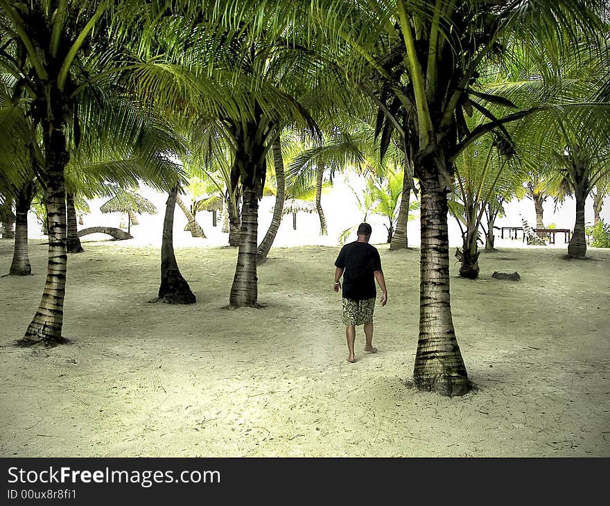 Man walking through palm trees on a tropical island.