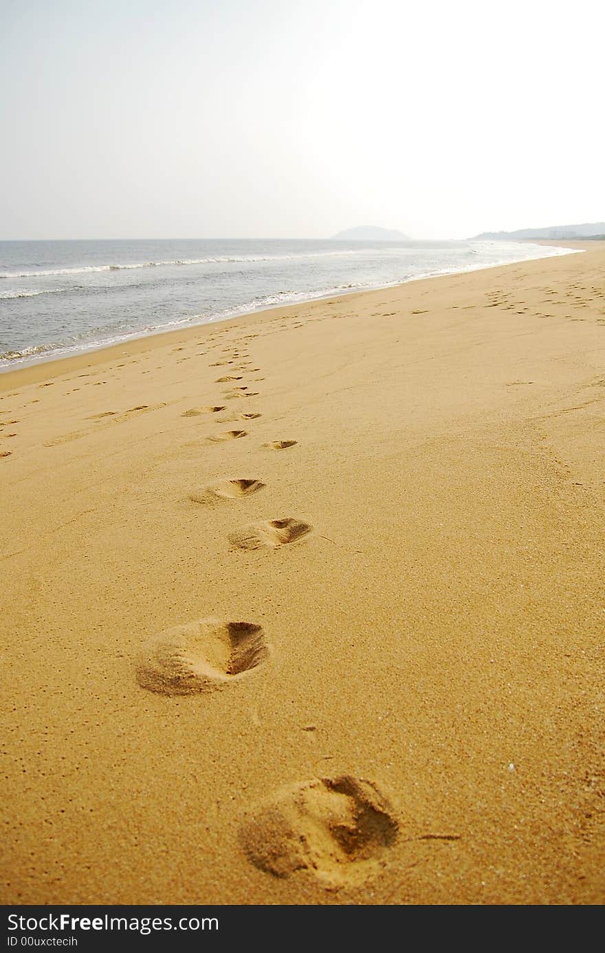 Footprints in the sand along the shore under the sunshine. Footprints in the sand along the shore under the sunshine