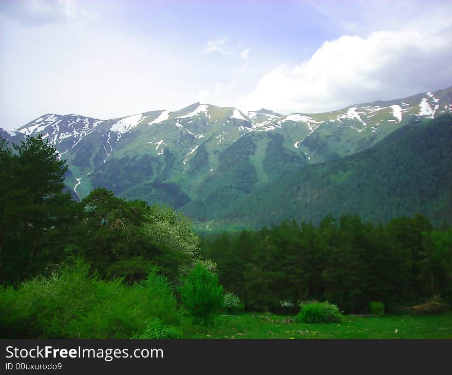 Green tree and mountain landscape