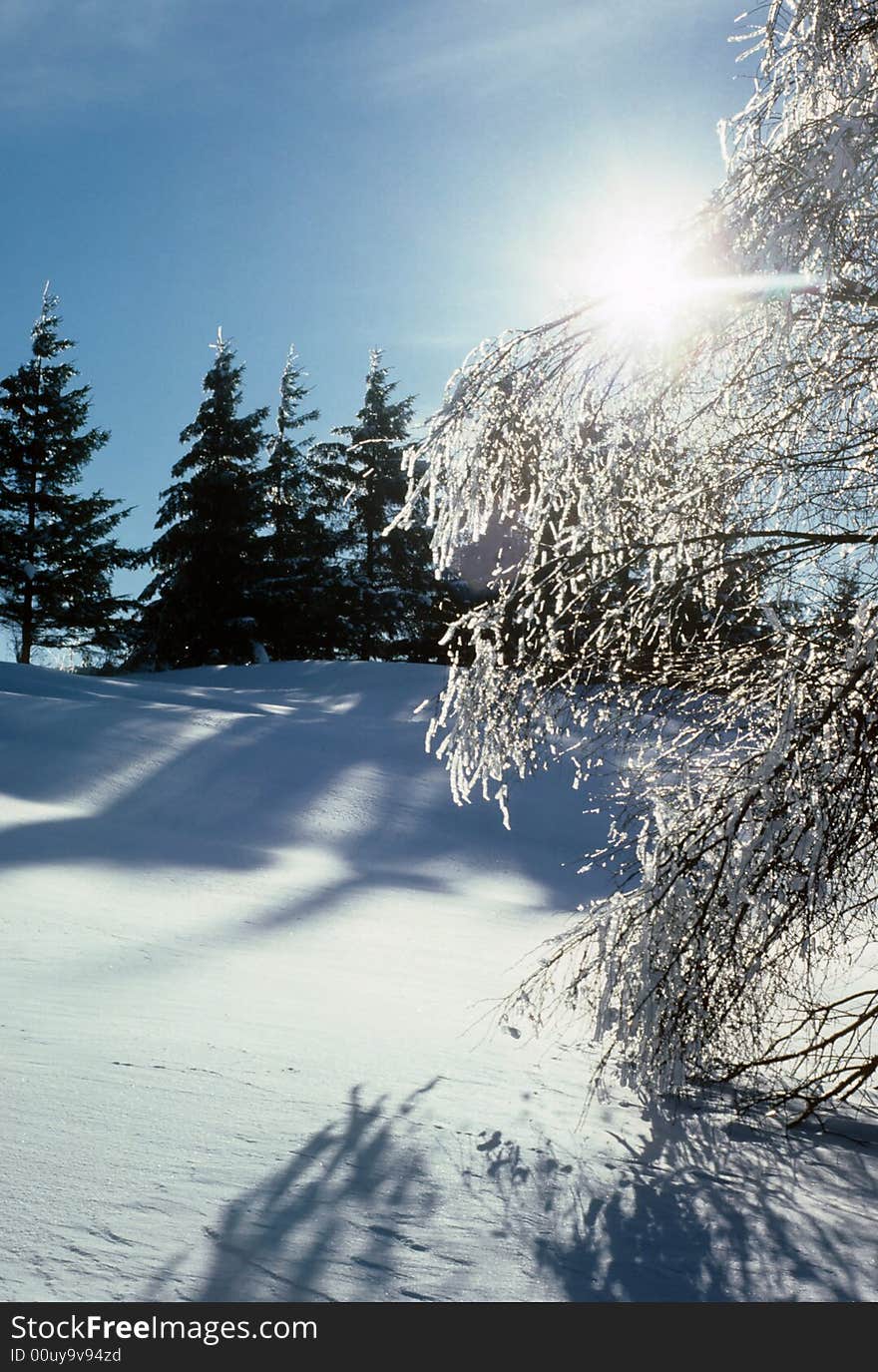 Frozen Field