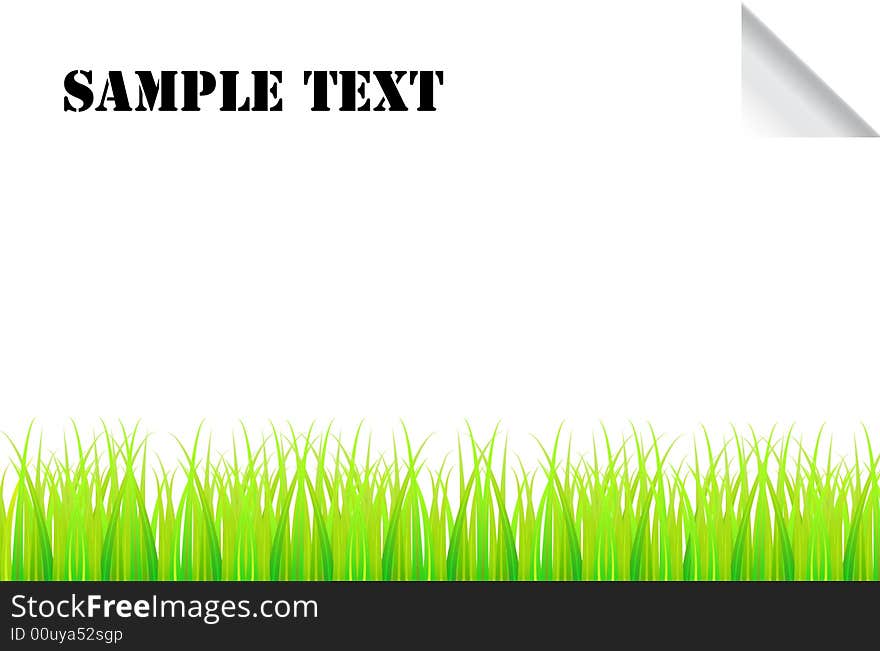 Illustration of grass with white background