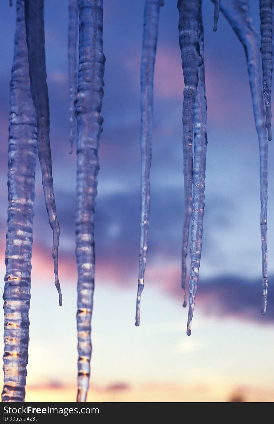 Hanging icicles in the winter sun