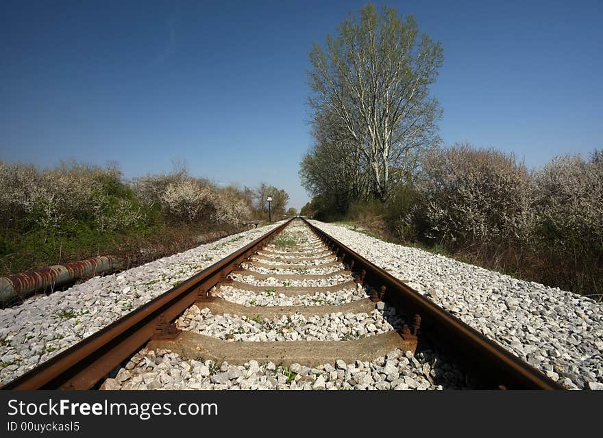Railroad tracks vanishing into horizon