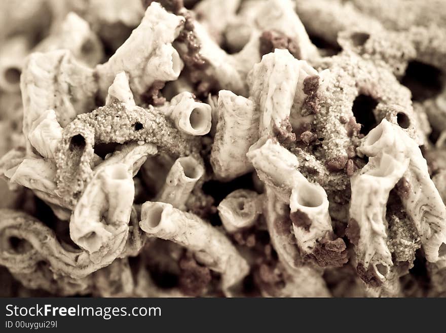 Close Up Of Dried Up Coral Reef In Black And White