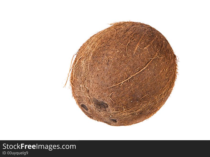 A coconut seed on a white background